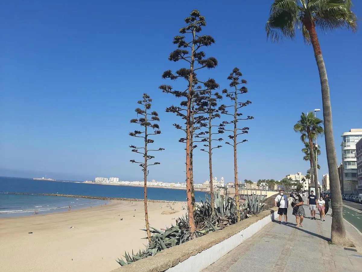 Apartment Huerta Del Obispo Cadiz